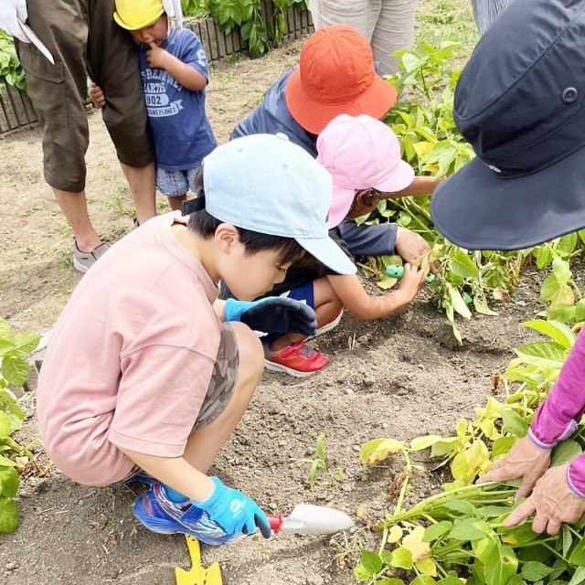 いくPAの農園〜ぐるぐる〜